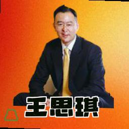 王思琪