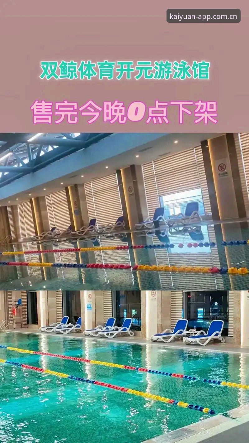 开元体育平台数据查询功能深度分析：从入门到精通的实用技巧