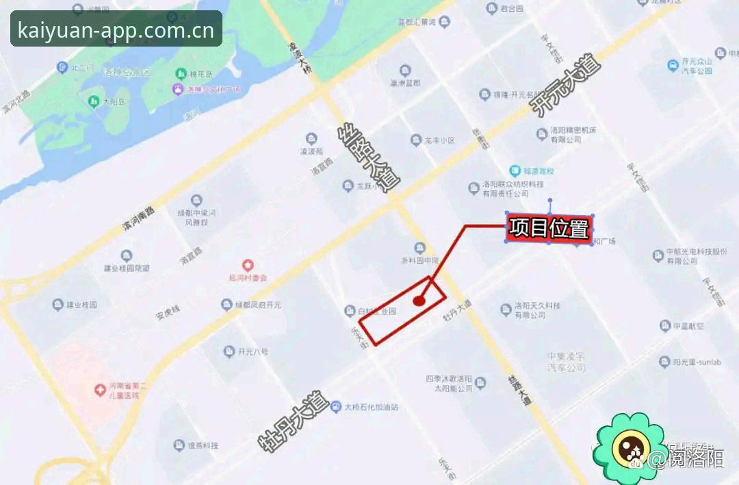 开元体育平台数据查询功能深度分析：从入门到精通的实用技巧
